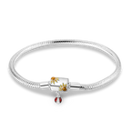 Pulsera de Plata 925 con Charms · 10 Diseños